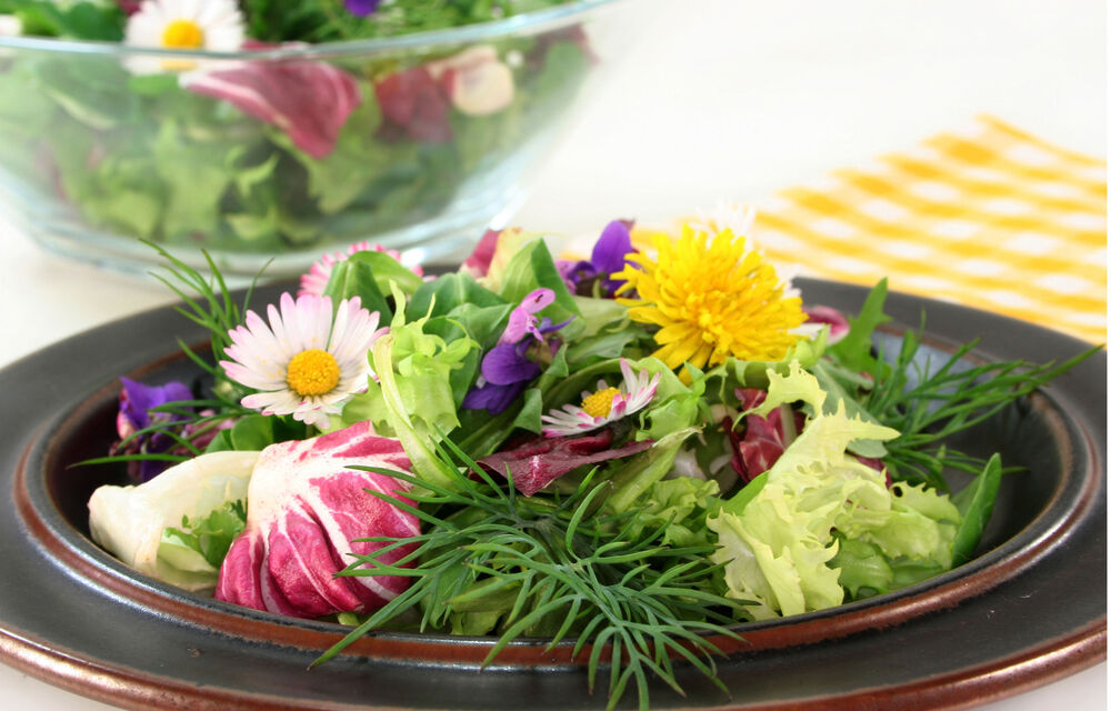 Intervallfasten im Bayerischen Wald